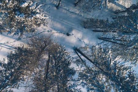 Winterwandern | © Tirol West – Daniel Zangerl